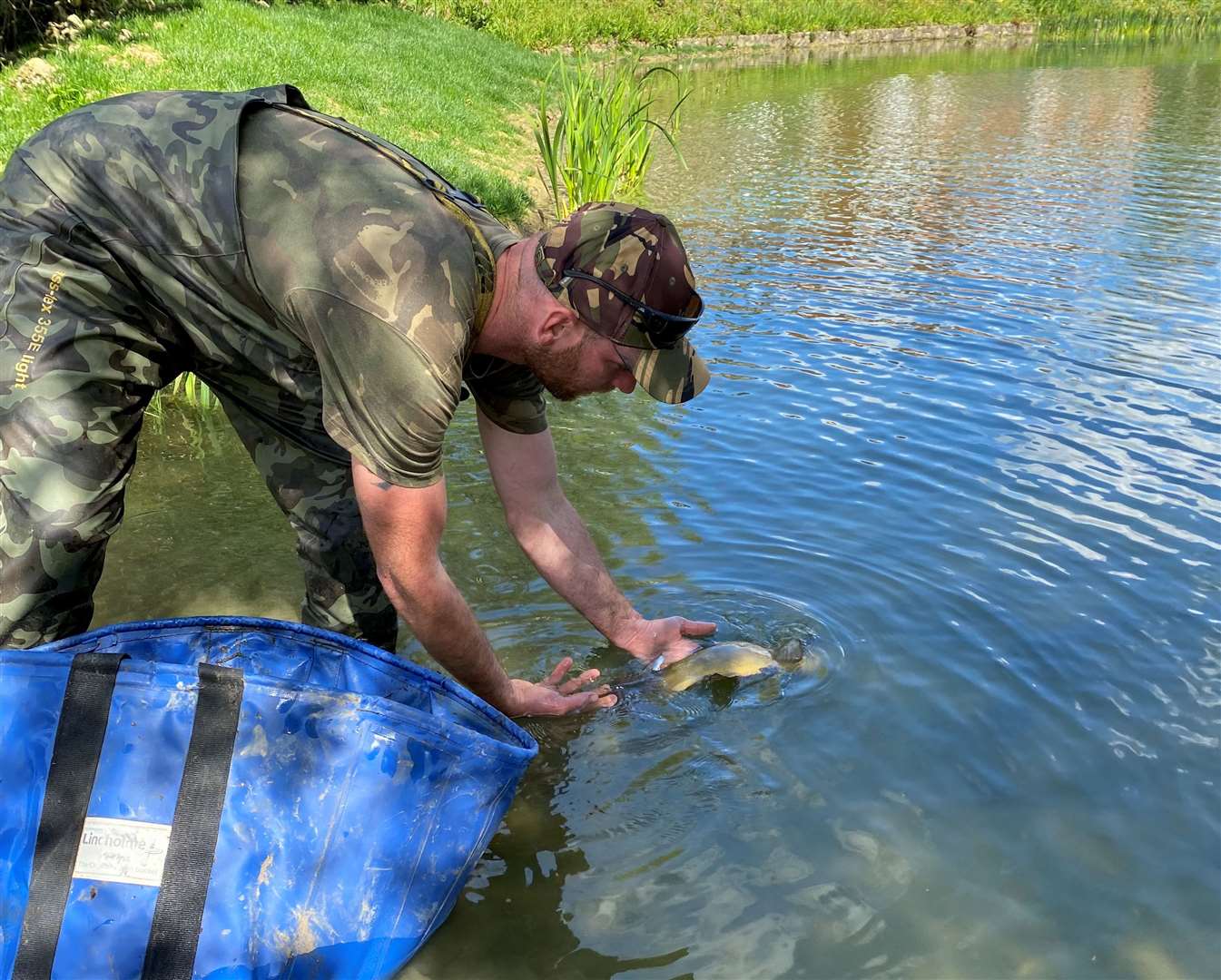Fish have been released into the pond. Picture: Picture: Brenchley and Matfield Parish Council