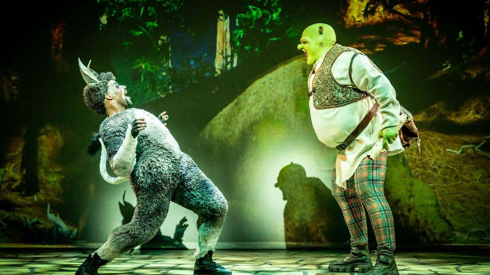 Shrek and Donkey in Shrek The Musical