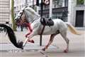 Army horses run amok in London after being spooked by falling rubble