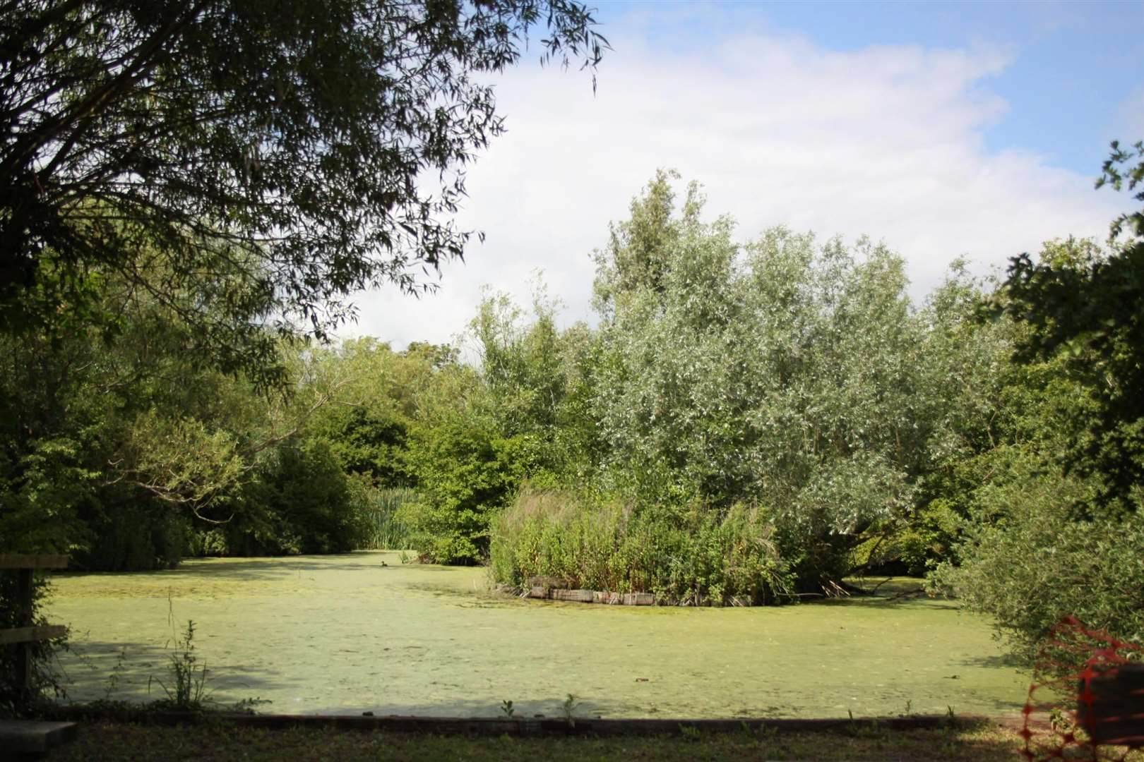 The public can now access the small pond and lake at Gazen Salts Nature Reserve