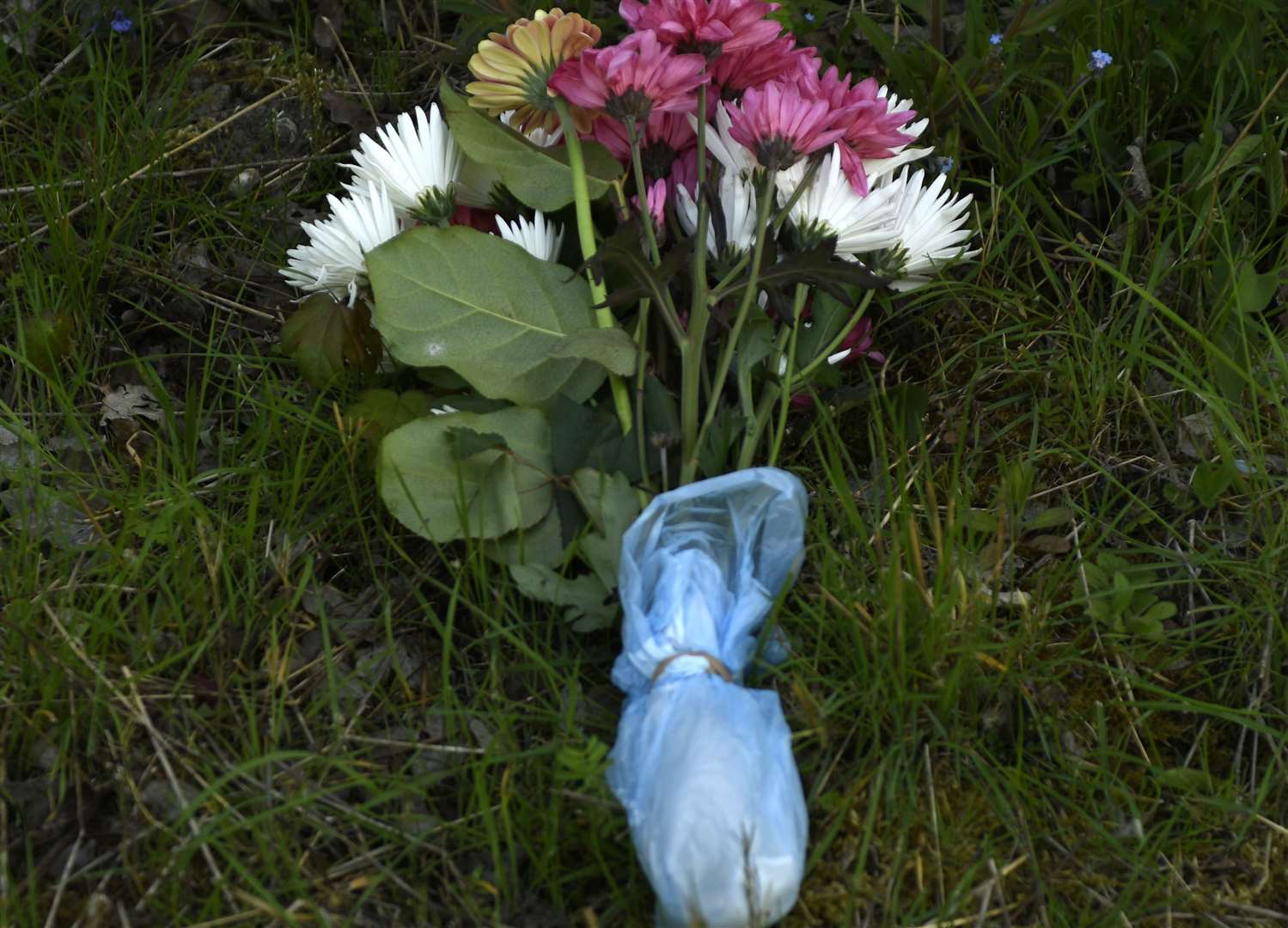 Flowers have been left at the scene of the collision. Picture: Barry Goodwin