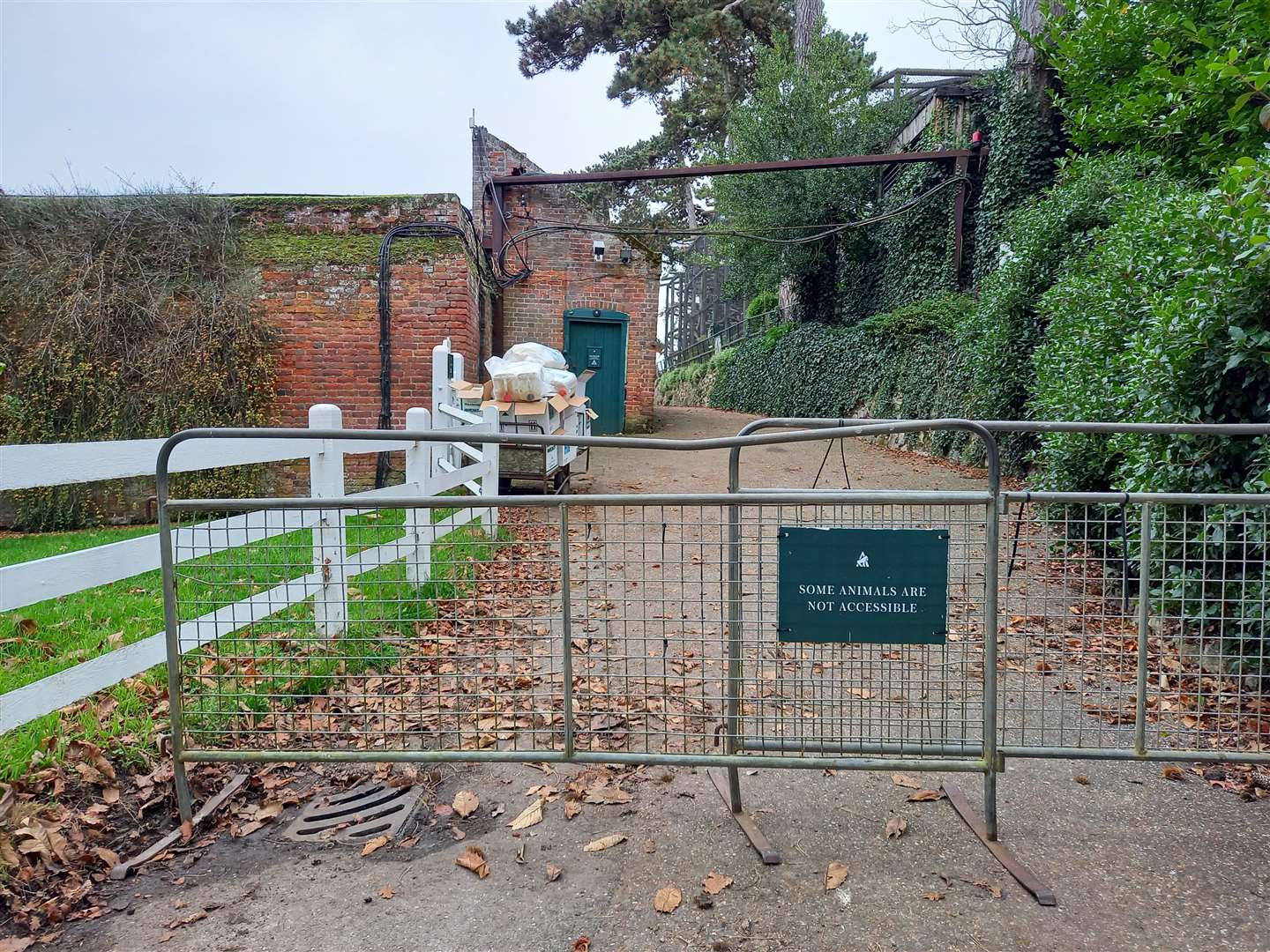 The route down to the old gorilla enclosure has been shut off for more than a year