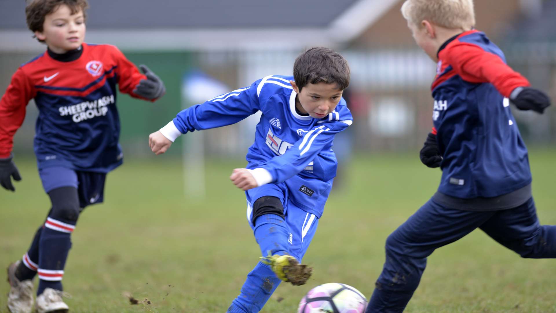 New Road under-8s on the ball against Hempstead Valley Heats Picture: Ruth Cuerden