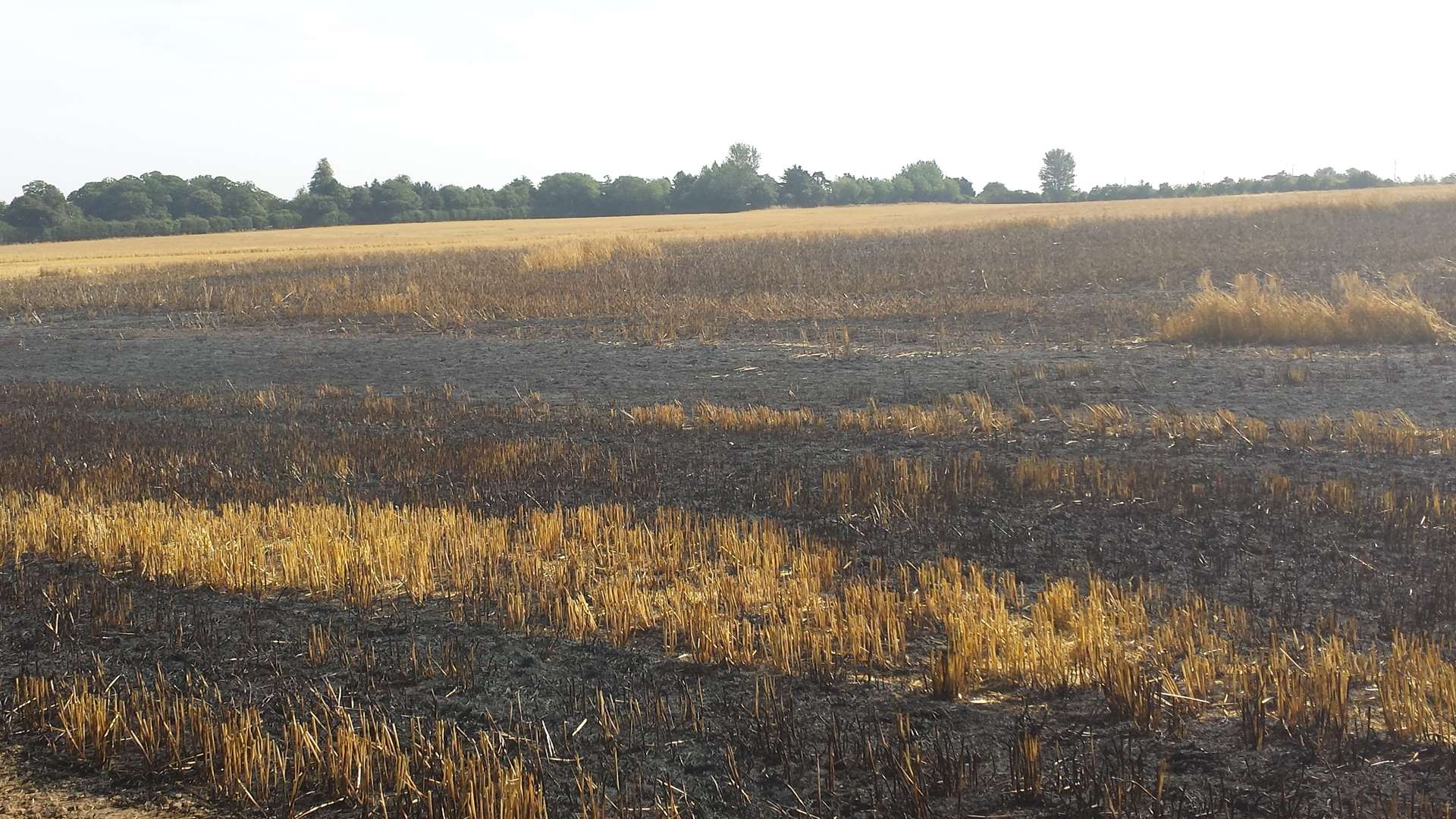 Acres of crops destroyed by fire in West Malling