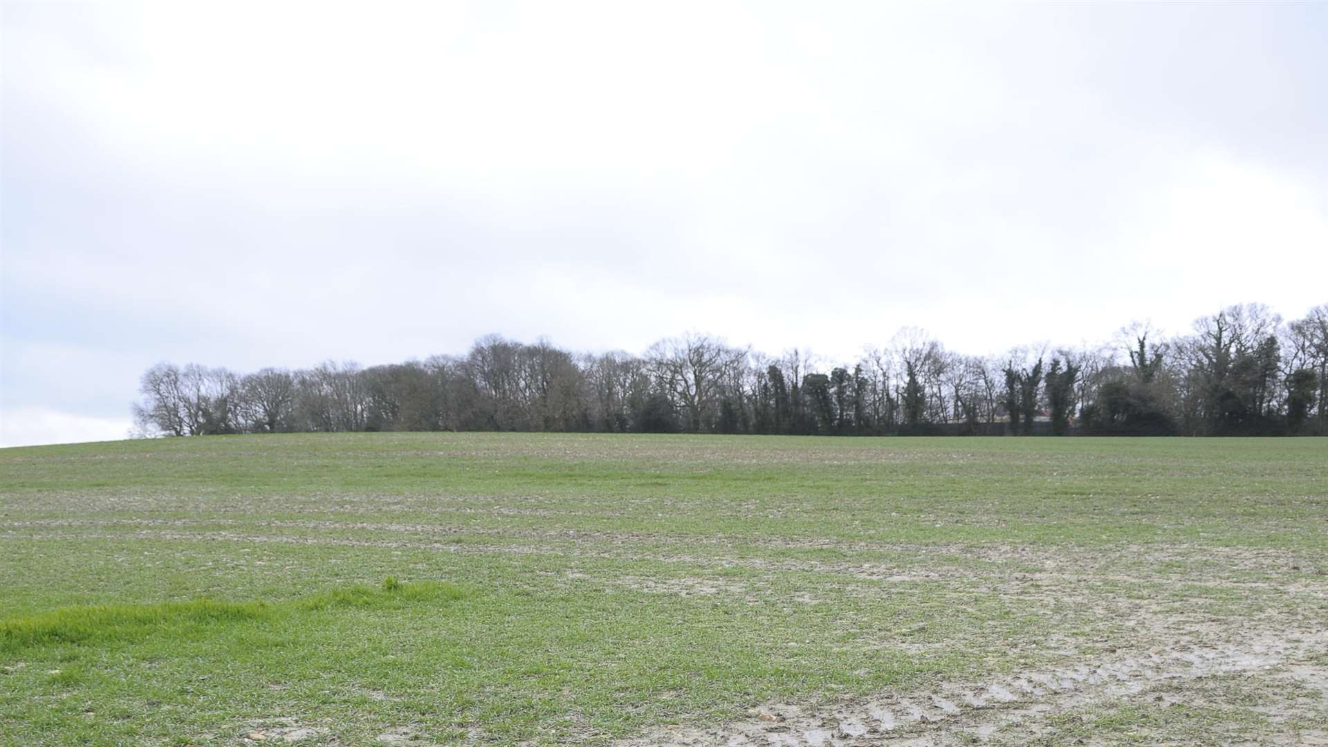 The application to build on thee land at Gibralter Farm, Ham Lane, was refused.