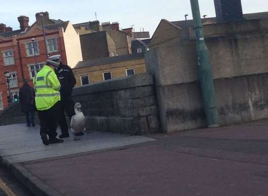 Police officers with the swan on the bridge. Picture: @Kiymm