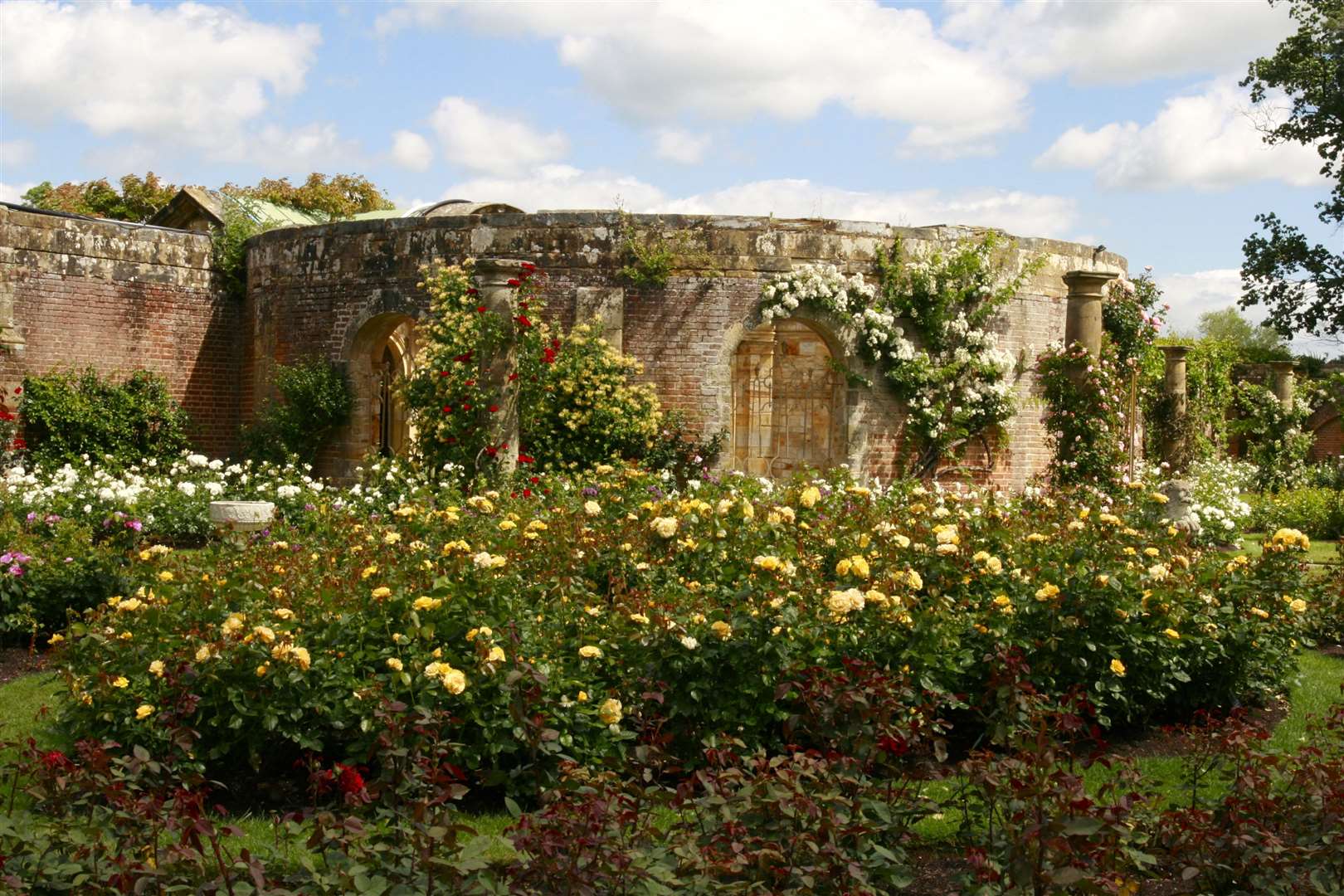 Explore the Hever Castle grounds as take in the flower displays and history of the castle. Picture: Vikki Rimmer