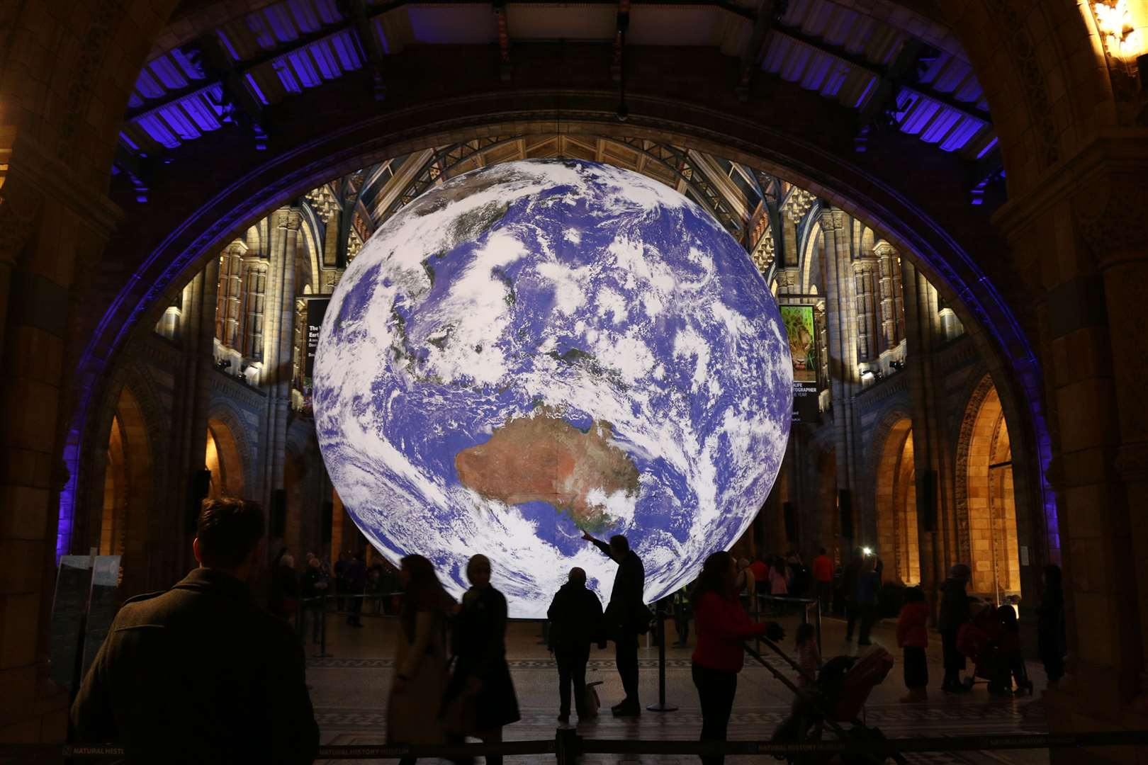 Gaia pictured inside the Natural History Museum. Photo: Rochester Cathedral