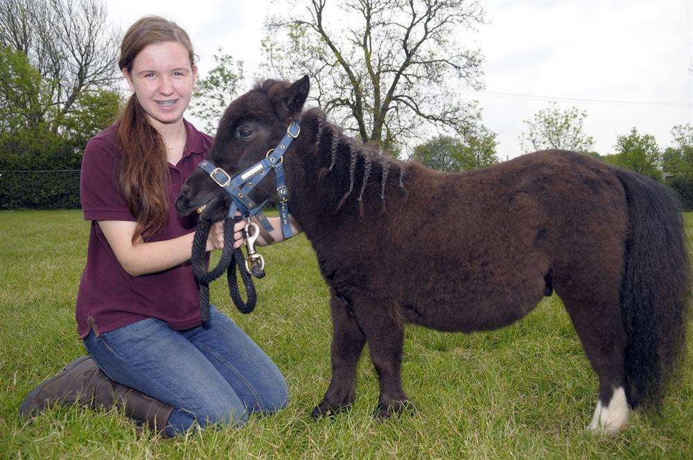 Sophia Kell made friends with Bobby the miniature Shetland pony