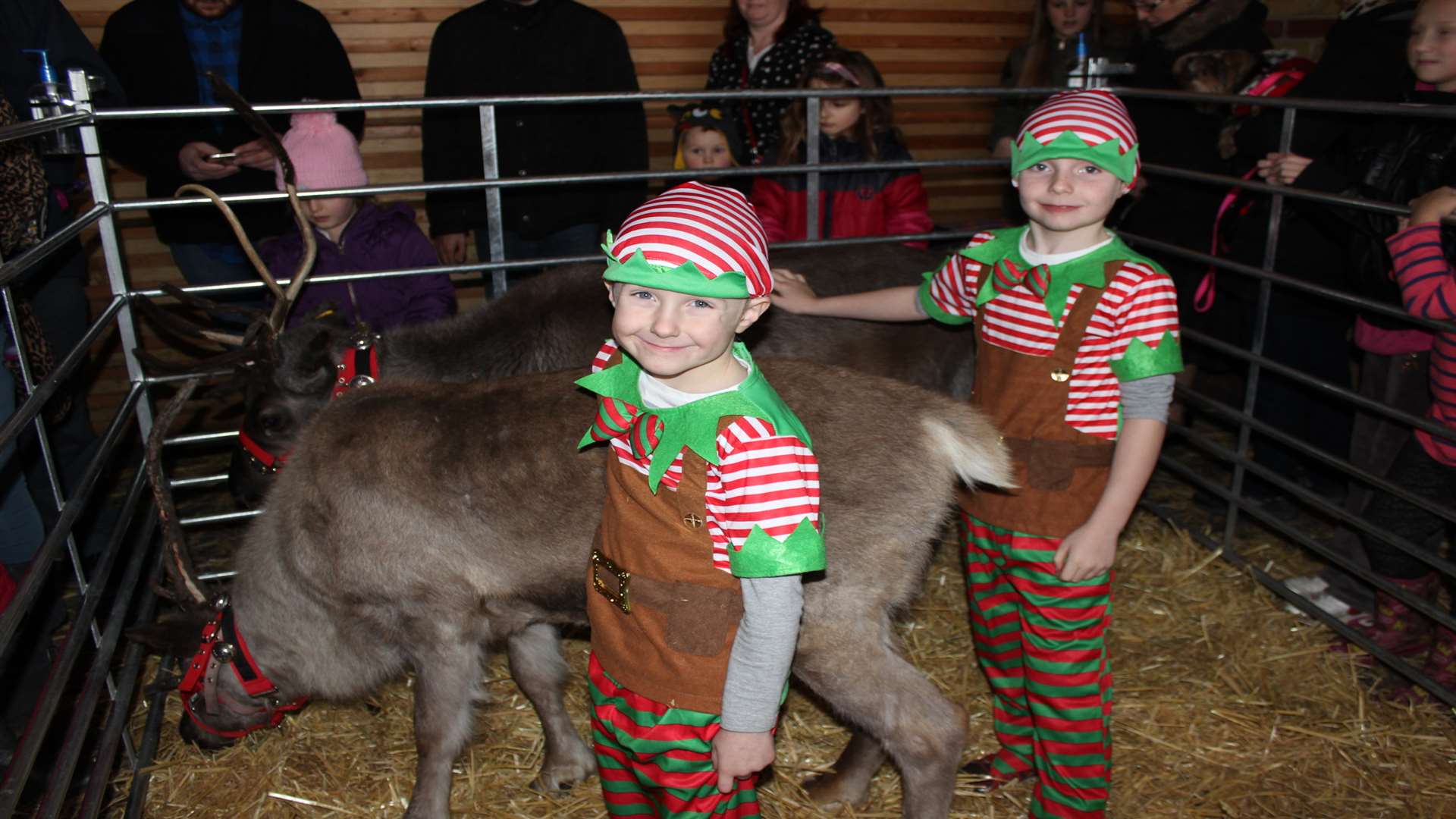 It looks like rain, dear: Elves James and Luke Stribbling-Williams look after Santa's reindeer Sven and Prancer at the Tesco Christmas Fun Day, Sheerness