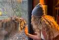 Pop star comes face to face with tiger at Kent animal park