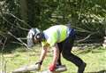  'High-risk' trees to be felled in park