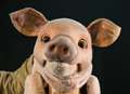 Polite pig puppetry brings heartwarming tale to stage
