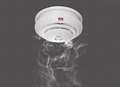Smoke alarm saves house from fire