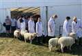 Thousands due at County Show today