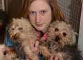 Woman risked jail for dogs she thought would die 