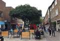 Protest over plans to chop down old trees in city centre