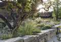 Garden by Vita Sackville-West renewed 85 years on