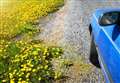 Why driving with hay fever risks a £5,000 fine or points on your licence