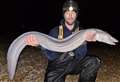 Wesley Shrubsole angling: Conger eels are bouncing back