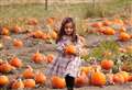 Picture-perfect pumpkin patches to visit this autumn