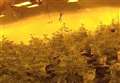 Dramatic footage captures police storming huge cannabis farm