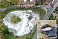 Village pond drained after illegal fish discovery