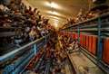 Supermarkets ditch eggs over appalling farm footage