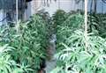 Men blocked entry to cannabis farm with furniture