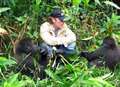 Five gorillas raised in Kent wildlife park found dead
