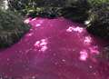 Probe launched after river turns bright pink
