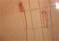 Blood-spattered public toilets 'like murder scene'