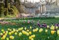Glorious gardens giving virtual tours 