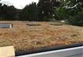Plans to instal 'green roof' approved