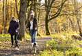 National Trust's open spaces to stay open for free