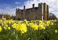Where to see delightful daffodils this spring