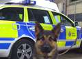 Sniffer dog finds burglary suspects