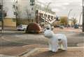 Snowdogs to invade town
