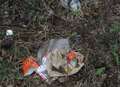 Council proposes increasing litter fines