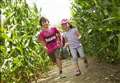 Lose yourself in a maize maze 