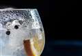 Keep your spirits up with World Gin Day
