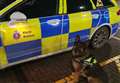 Drug dealer jailed after police dog finds cocaine wraps