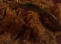 Centipede crawls from chicken masala 