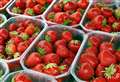 British-grown strawberries and apples risk extinction 