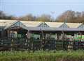 Garden centre to be demolished