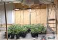 Third cannabis farm found within week