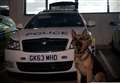 Police dog assists officers in arrest of burglary suspects 