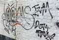 Graffiti victims could be prosecuted