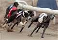Greyhound kennels could become housing