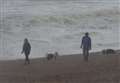 Beach dog ban starts despite lockdown plea